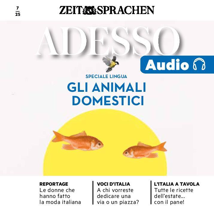 ADESSO Audiotrainer digital 07/2025