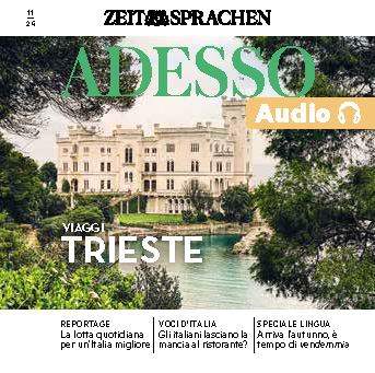 Adesso Audiotrainer ePaper 11/2024